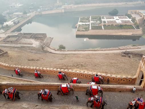 Elephant Ride at Amber Fort in Jaipur
