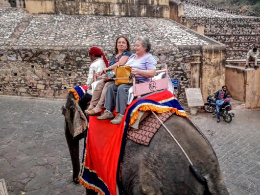 Elephant Ride at Jaipur
