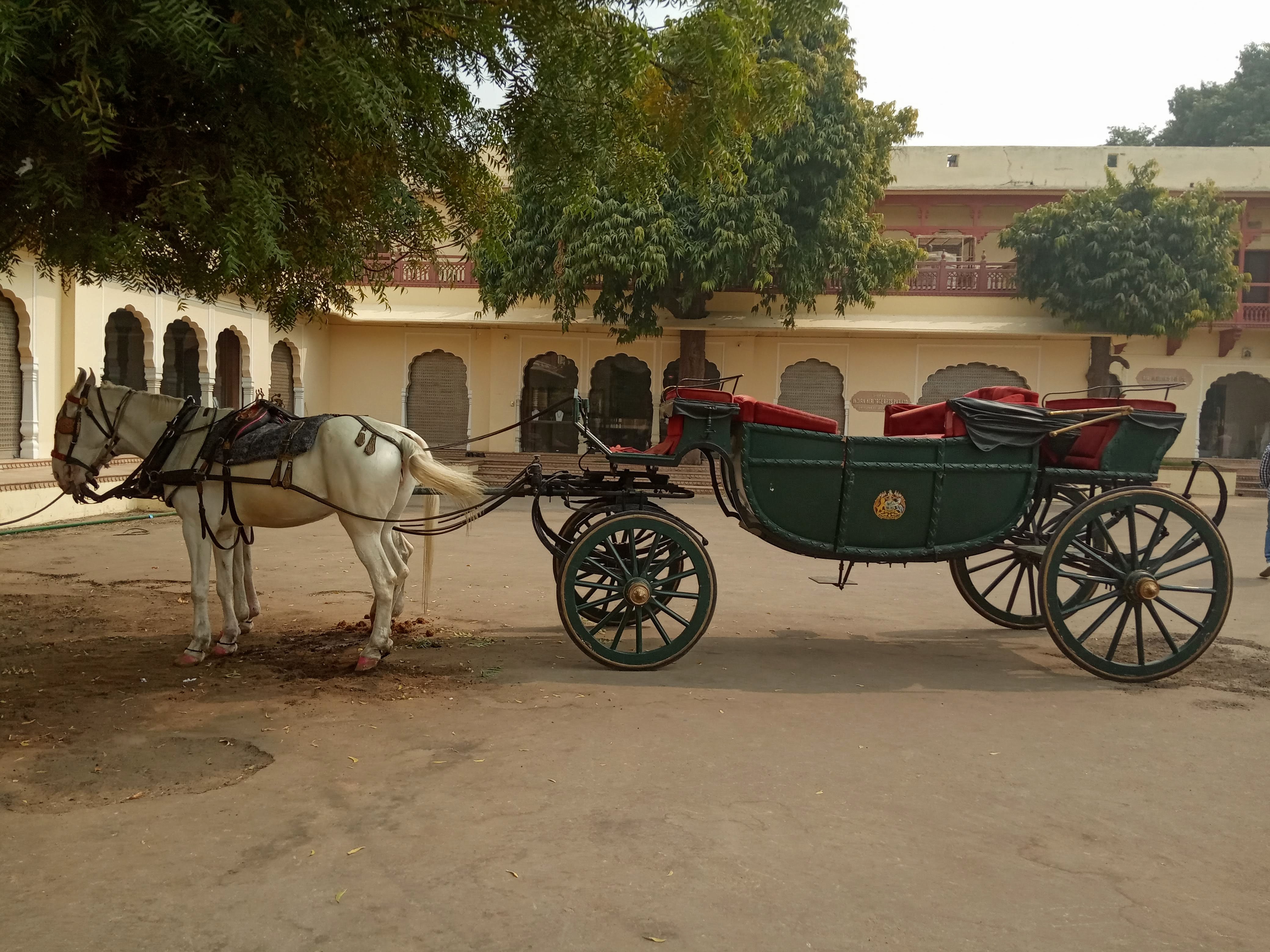 Horse Cart in City Palace, Jaipur