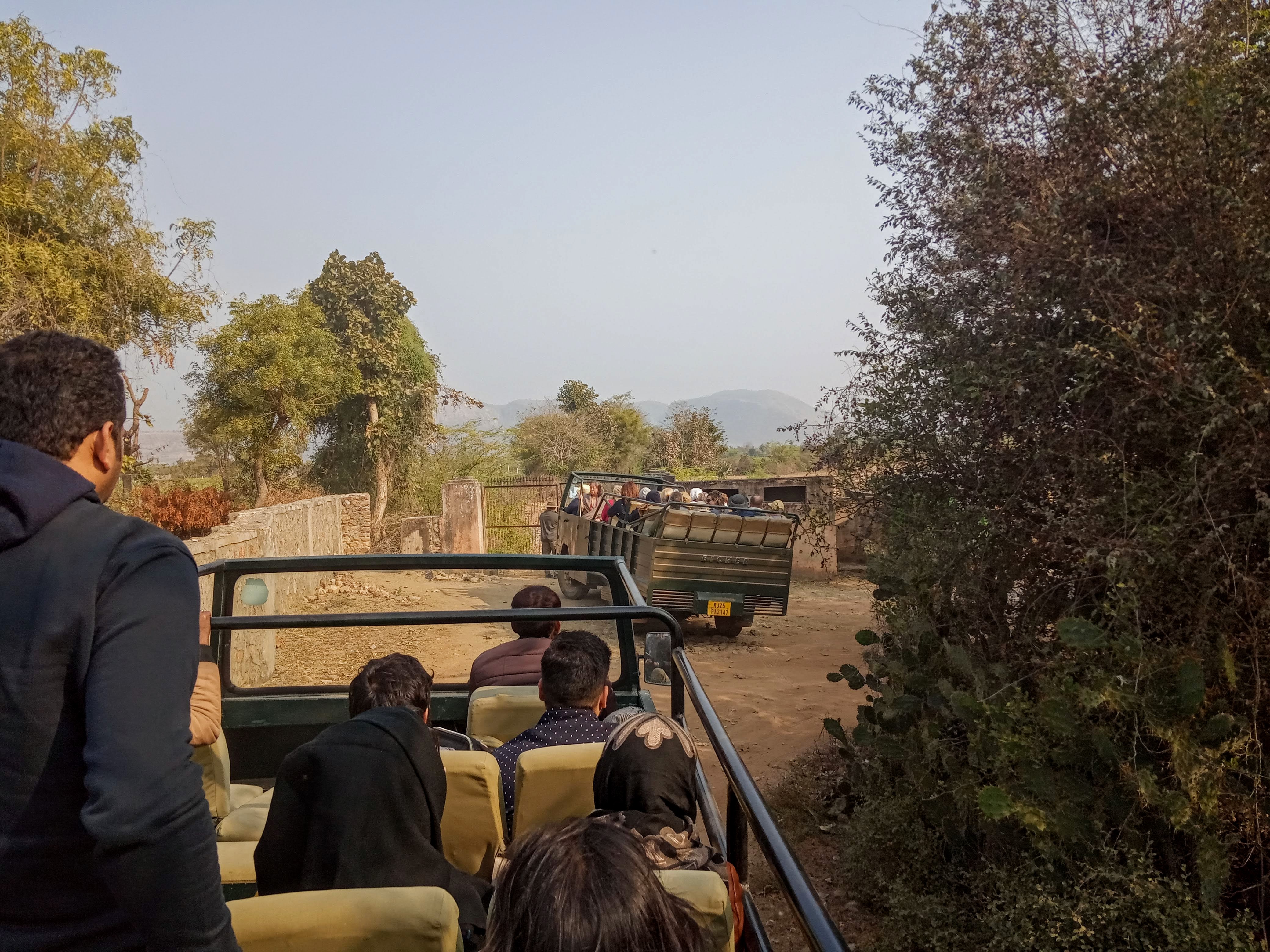 Safari at Ranthambore