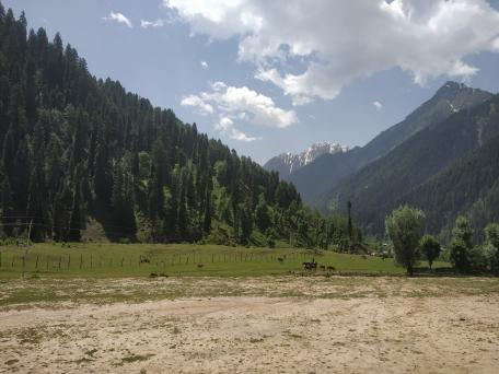 Pahalgam, Kashmir Trip